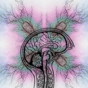 Focal Epilepsy Patients Face Delays in Effective Treatment