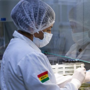 FAO Advances AMR Monitoring in Latin America, Caribbean