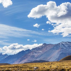 TotalEnergies Sells Vaca Muerta Blocks