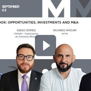 Investor Playbook: Opportunities, Investments and M&As