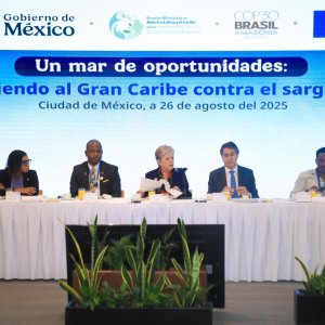 Mexico Aims to Turn Sargassum Into Sustainable Products