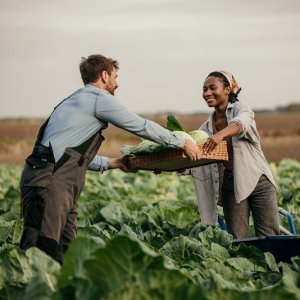 Mexico, Germany Advance Sustainable Agri-Food Systems