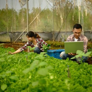 Global Digital Agriculture Patents Surge