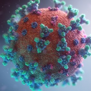 Chihuahua Leads on Measles Cases as Mexico Expands Vaccination