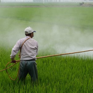 Mexico Bans 35 Pesticides to Protect Health, Agriculture