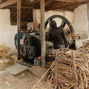 Veracruz Deputy Urges Sugar Mills to Adopt Sustainable Practices