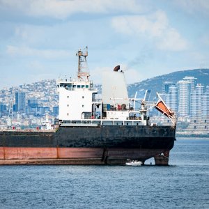 Grupo TIBA Urges Maritime Logistics to Cut Emissions