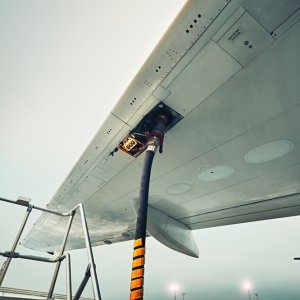 Mexico Explores Turning Caribbean Sargassum Into Jet Biofuel