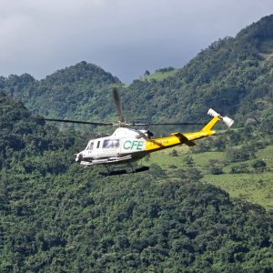 CFE Restores 98.72% of Power in Eastern Mexico After Storms