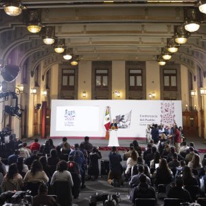 Sheinbaum Demands Release of Gaza Activists / Amparo Law