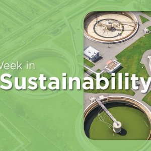 Mexico Shifts 2026 Budget From Environment to Energy