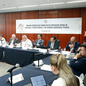 Senate Advances Reform to Modernize Mexico’s Customs Law