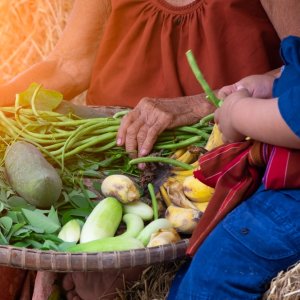 Mexico, FAO Mark 80 Years of Partnership for Food Security