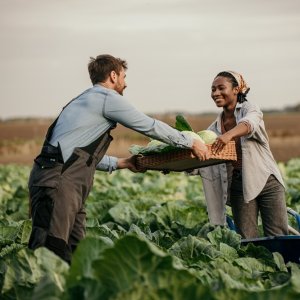 Mexico Advances Toward Sustainable Agriculture