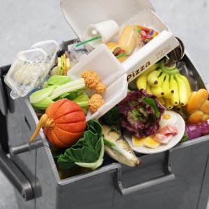 Food Waste in Mexico Drives Social, Environmental Challenges