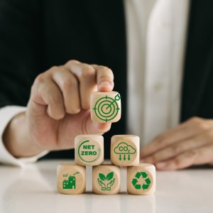 SEMARNAT Marks First-Year Environmental Progress Despite Concerns