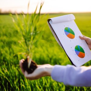 Mexico Links Science, Policy to Strengthen Food Security