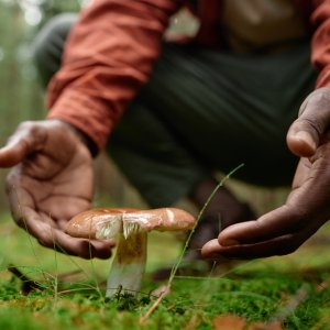 Mexico City Launches Biodiversity Monitoring Training Program