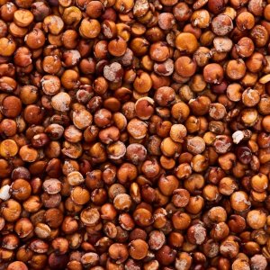 Sinaloa Expands Agricultural Exports to China, Japan