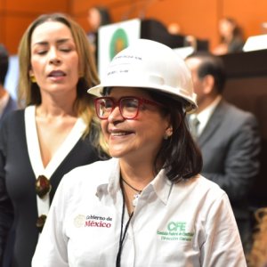 Emilia Calleja Outlines CFE Goals for Electricity, Internet