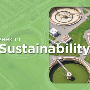 US Governors, Indigenous Reps, Oil Sector Dominate COP30 Talks