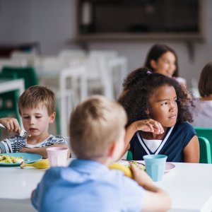 Vegetable-Based School Menus Can Cut Environmental Impact