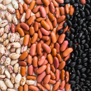 Bean Fair Highlights Nutrition, Food Sovereignty