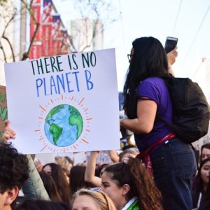 ILO, UNDP Warn on Gender Gaps in Climate Transition at COP30