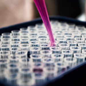 Cumberland Pharmaceuticals Reports 12% Revenue Growth in 2025