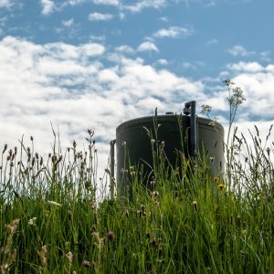 Global Call to Recognize Renewable Gas Certificates