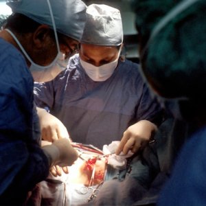 Heart Disease, Diabetes Drive Mortality Rise in Mexico: INEGI 