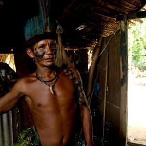 COP30 Talks Center on Indigenous Access and Oil-Sector Influence