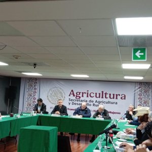 Mexico Reaches Deal to Pause Road Protests Before Peak Season