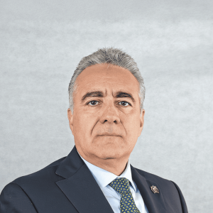 Building a Bridge Between Suppliers and Users: Regulus