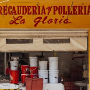 OIT Warns Labor Resilience Faces Structural Limits in 2025