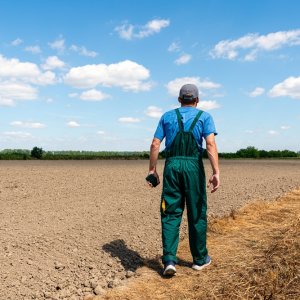 Mexican Farm Output Declines as Insecurity and Costs Escalate