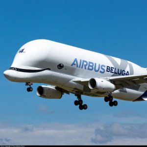 Airbus Warns that Tariffs on Mexico, Canada Threaten US Output