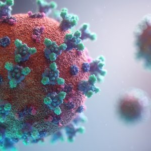 WHO Sets Strategy for Managing Coronavirus Threats