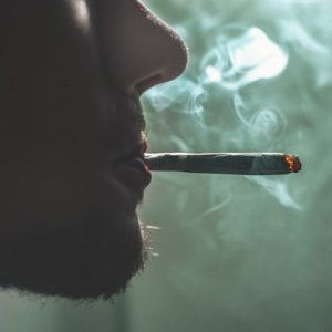 Survey Shows Shifts in Drug, Alcohol Use, and Mental Health