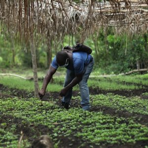 World Bank Puts Jobs at Center of Global Growth Strategy