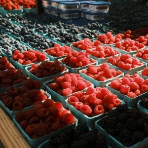 Mexico Begins Talks With Berry Industry on Labor Certification 