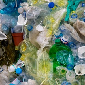 Mexico Needs Comprehensive Plastic Recycling, Recovery Plan: OFEC