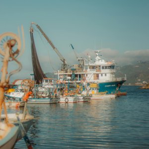 Mexico Tightens Fishing Limits to Protect Marine Populations