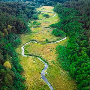 Mexico, Canada Renew Cooperation on Protected Areas