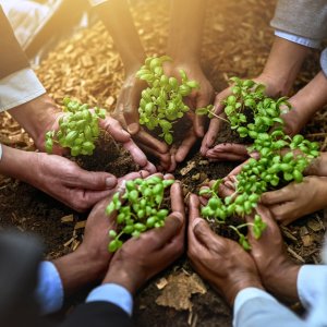 USMCA Environment Committee Advances Trilateral Agenda 