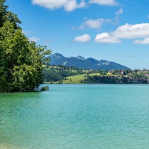 Lago de Texcoco Advances as a Major Restoration Project