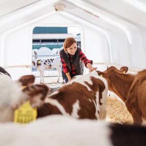 Mexico-US Cattle Trade Close to Reopening