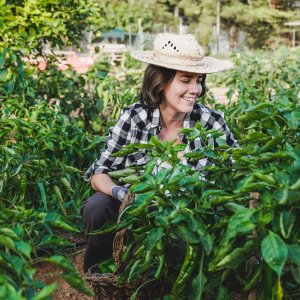 FAO Names 2026 International Year of Women Farmers