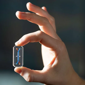 UNAM Introduces Liver-on-a-Chip, a Drug Testing Breakthrough
