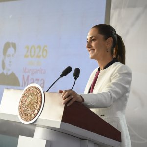 Homicides in Mexico / Drugs Seized